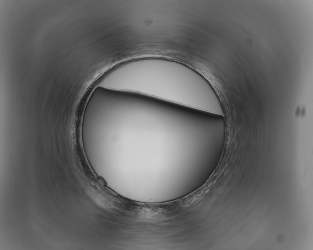 X0000091450346200708161052