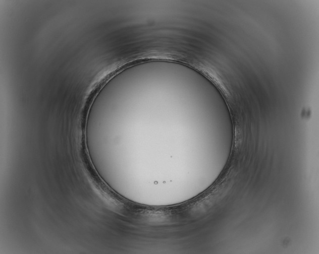 X0000091450349200708161052