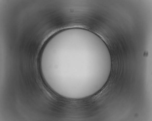 X0000091450350200708161052