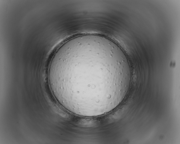 X0000091450351200708161052