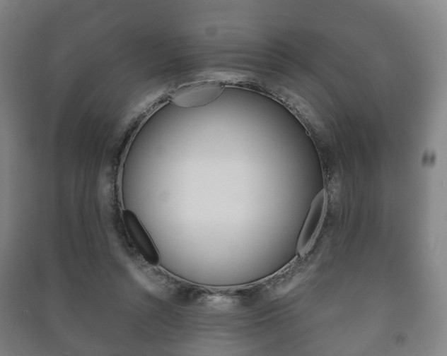 X0000091450352200708161052