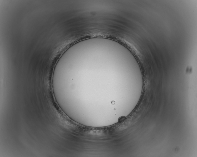 X0000091450353200708161052