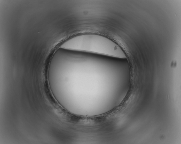X0000091450354200708161052