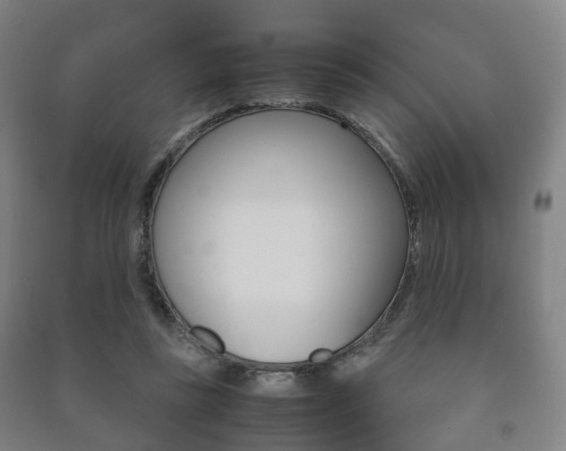 X0000091450355200708161052
