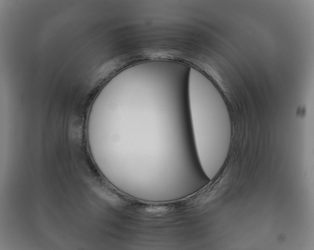 X0000091450357200708161052