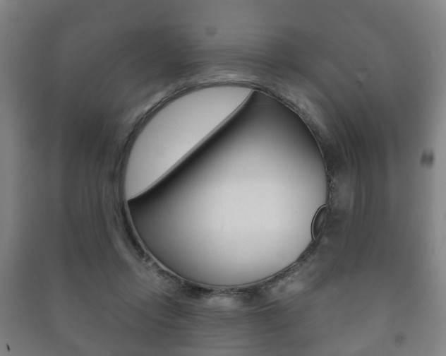 X0000091450358200708161052