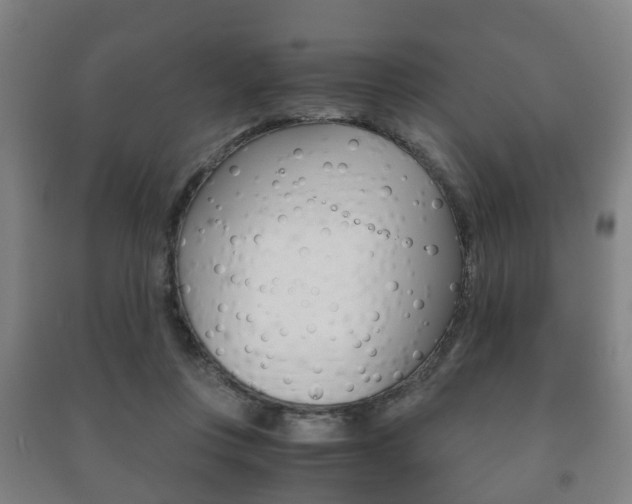 X0000091450359200708161052