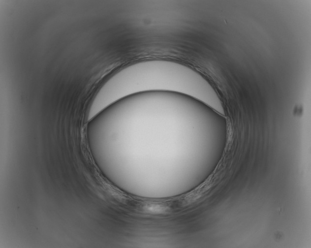 X0000091450360200708161052