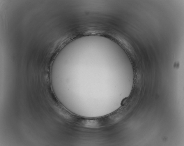 X0000091450361200708161052