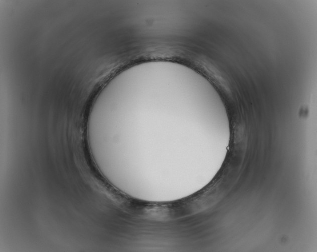 X0000091450362200708161052