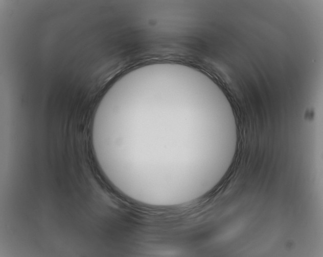 X0000091450364200708161052