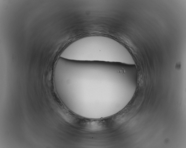 X0000091450365200708161052