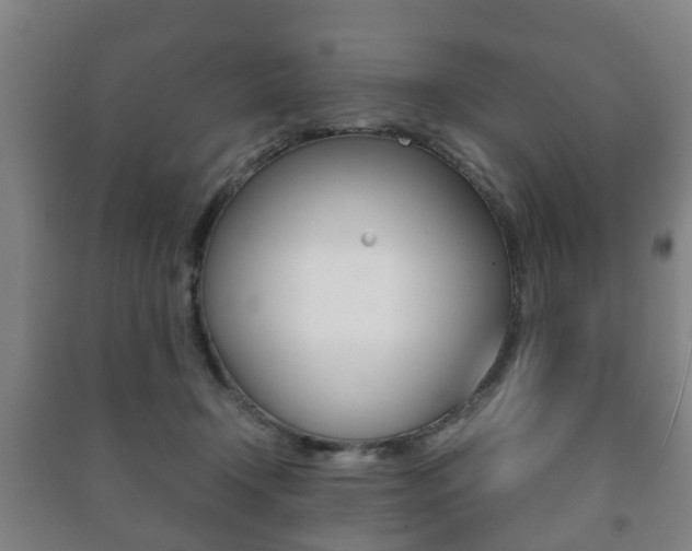 X0000091450366200708161052
