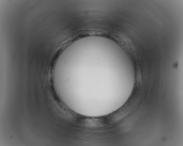 X0000091450367200708161052
