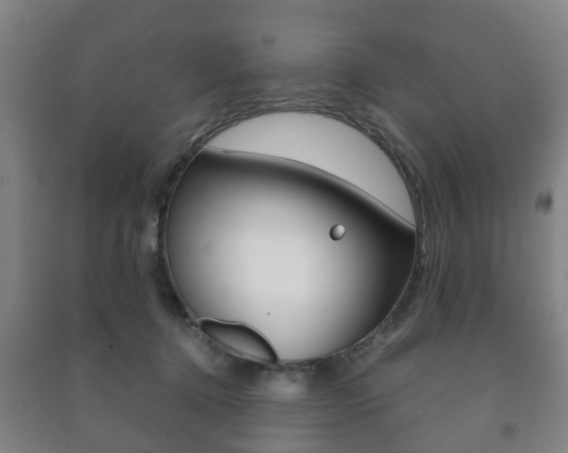 X0000091450368200708161052