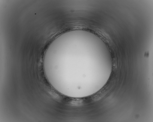 X0000091450369200708161052