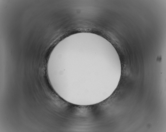 X0000091450370200708161052