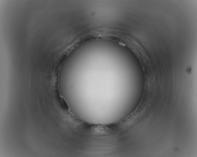 X0000091450372200708161052