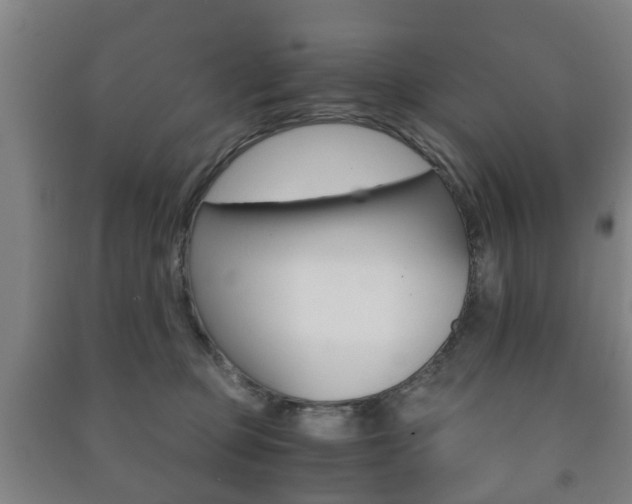 X0000091450373200708161052