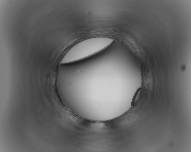 X0000091450374200708161052