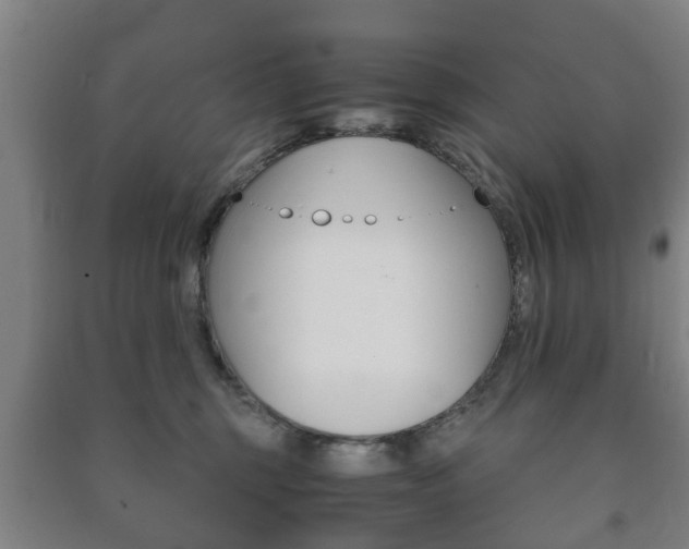 X0000091450375200708161052