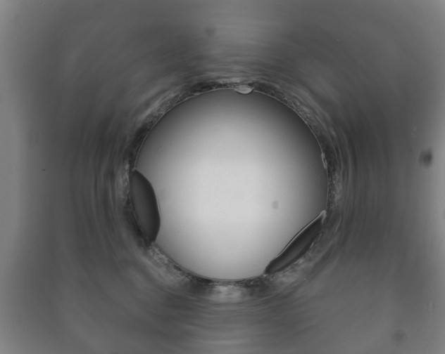 X0000091450376200708161052
