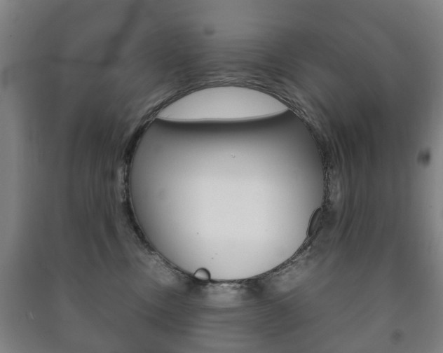 X0000091450378200708161052