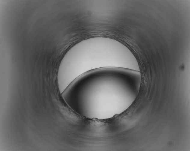 X0000091450380200708161052