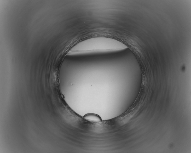 X0000091450382200708161052