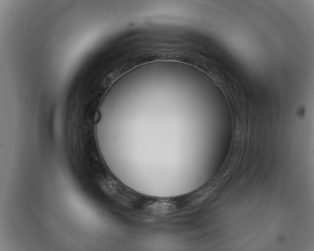 X0000091450383200708161052