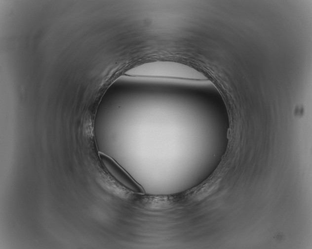 X0000091450384200708161052