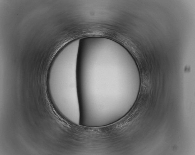 X0000091450386200708161051
