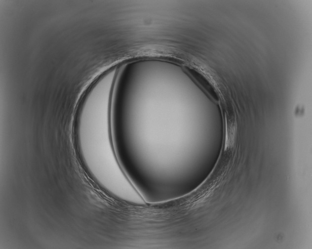 X0000091450387200708161051