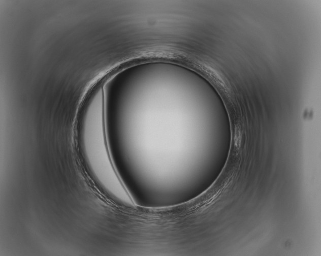 X0000091450388200708161051