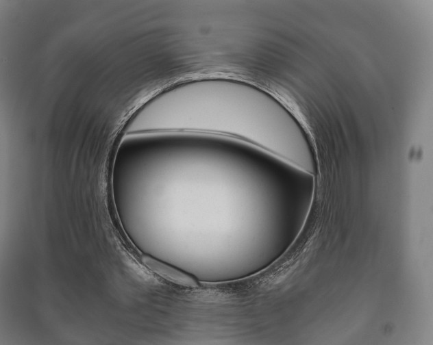 X0000091450389200708161051