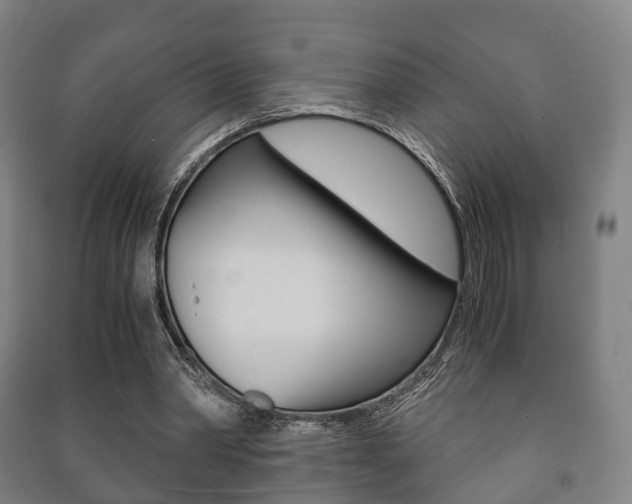 X0000091450390200708161051