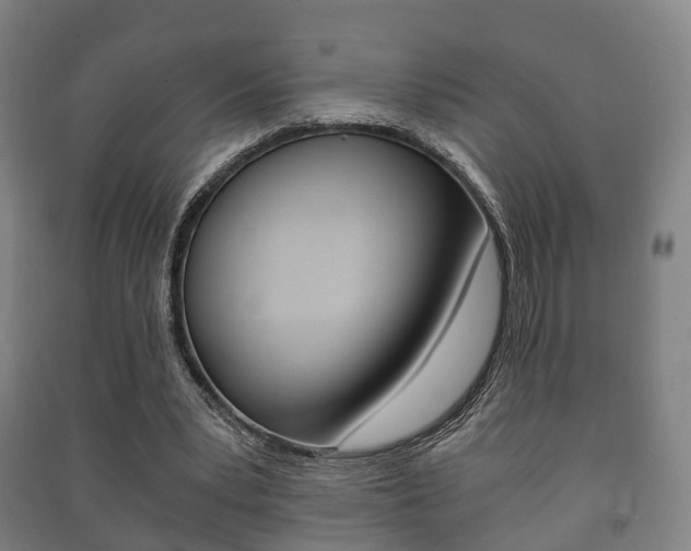 X0000091450391200708161051