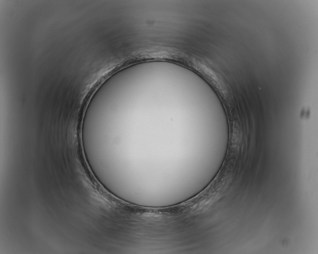 X0000091450394200708161051