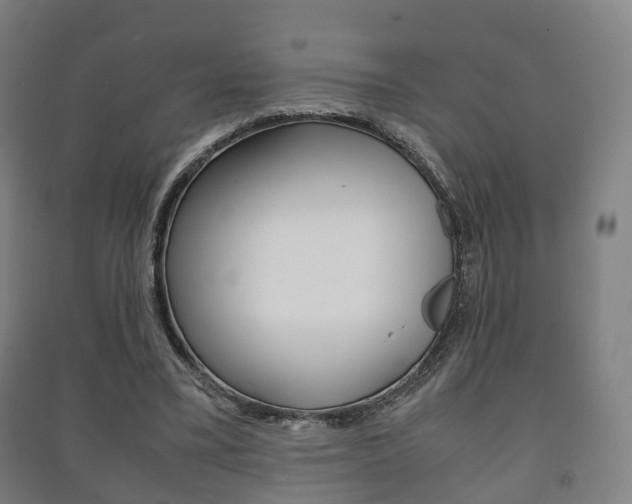 X0000091450395200708161051