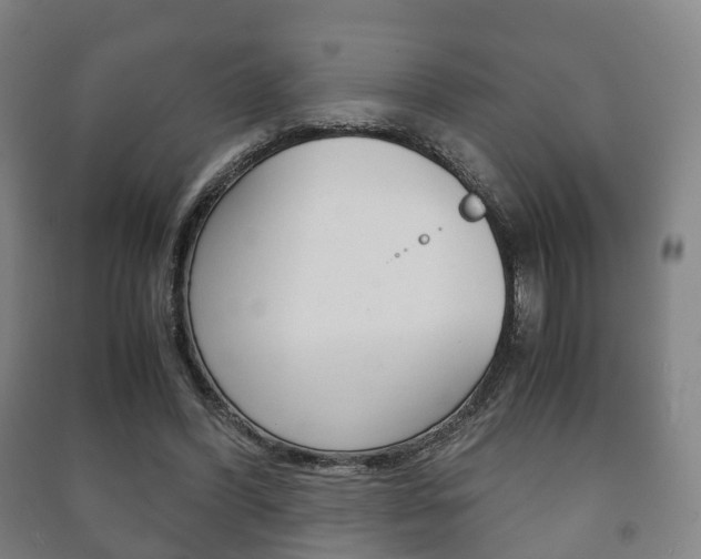 X0000091450396200708161051
