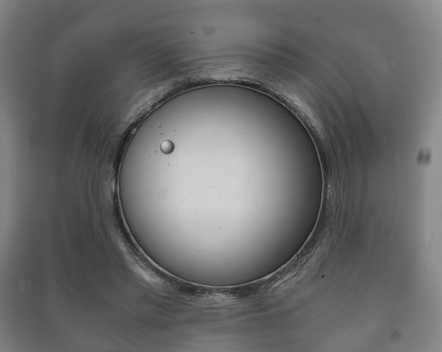 X0000091450397200708161051