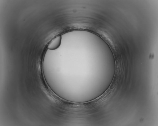 X0000091450398200708161051