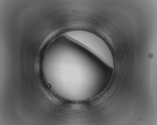 X0000091450400200708161051