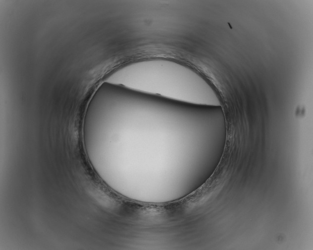 X0000091450402200708161051