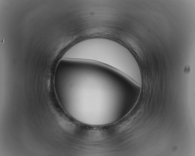 X0000091450404200708161051