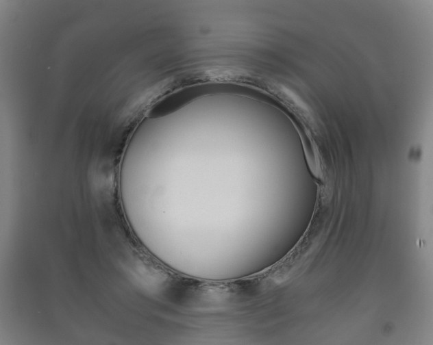 X0000091450405200708161051