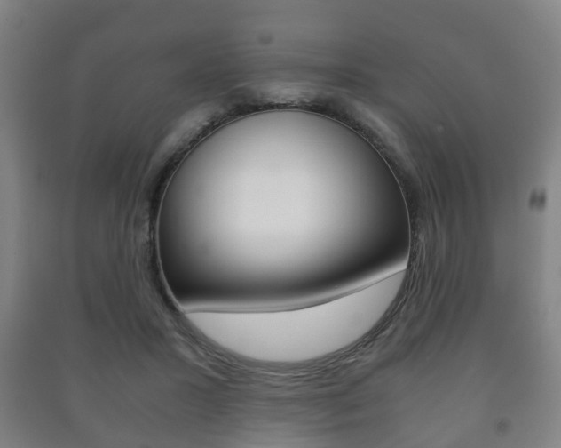 X0000091450407200708161051