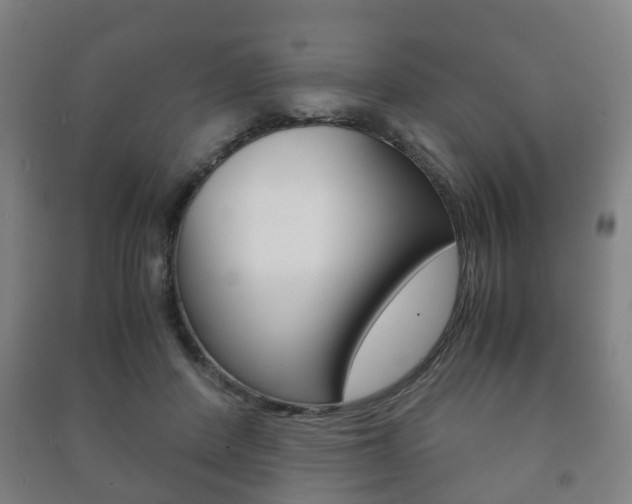 X0000091450408200708161051