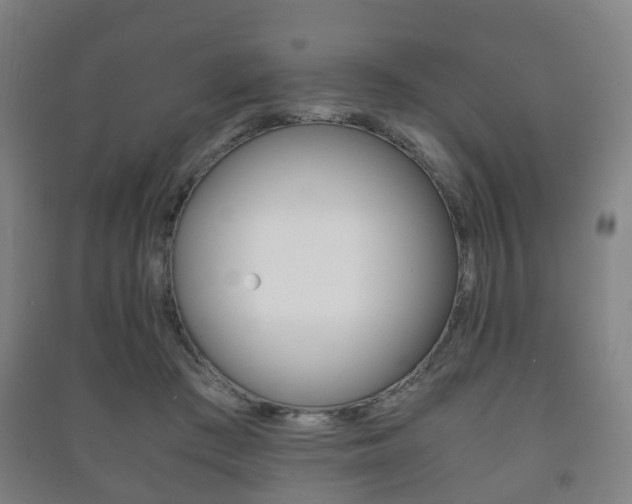 X0000091450409200708161051