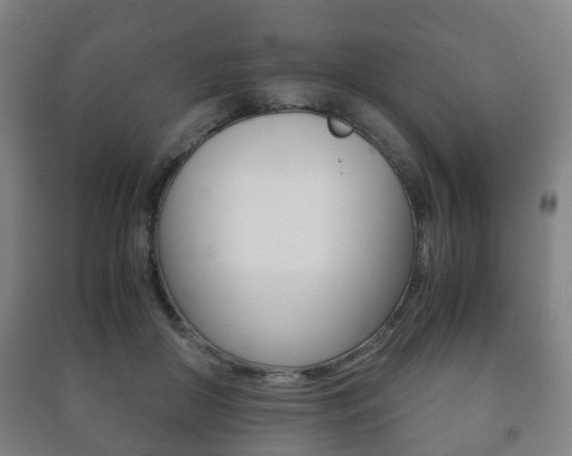 X0000091450410200708161051